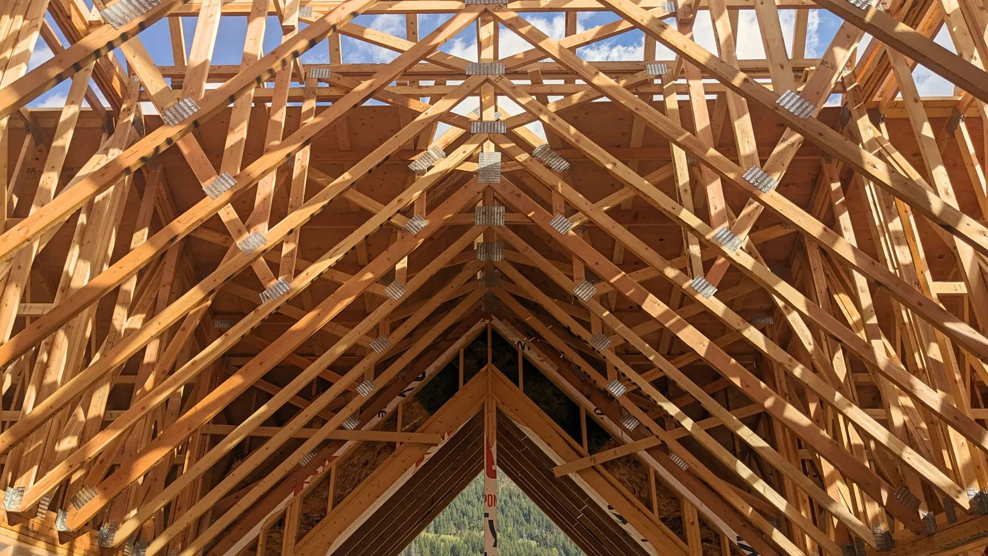 Roof trusses overhead